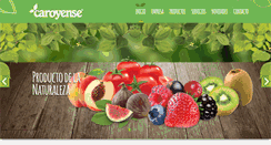 Desktop Screenshot of caroyense.com